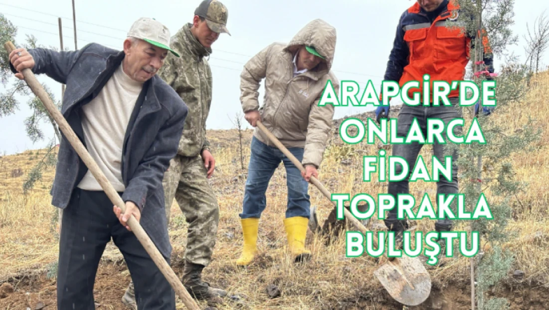 Arapgir’de onlarca fidan toprakla buluştu