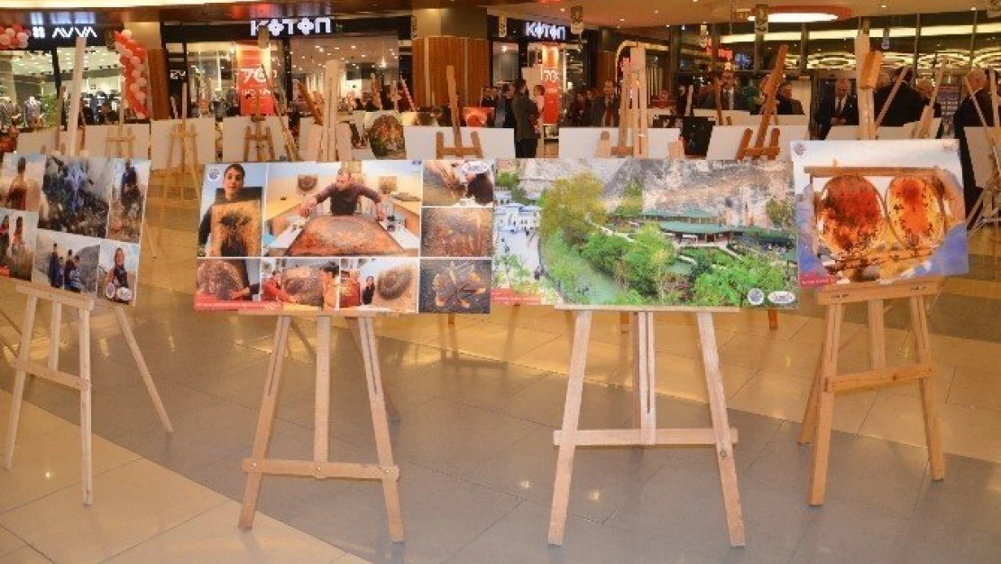 15 Temmuz Darbe Girişimi ve Darende Tanıtım Sergisi açıldı
