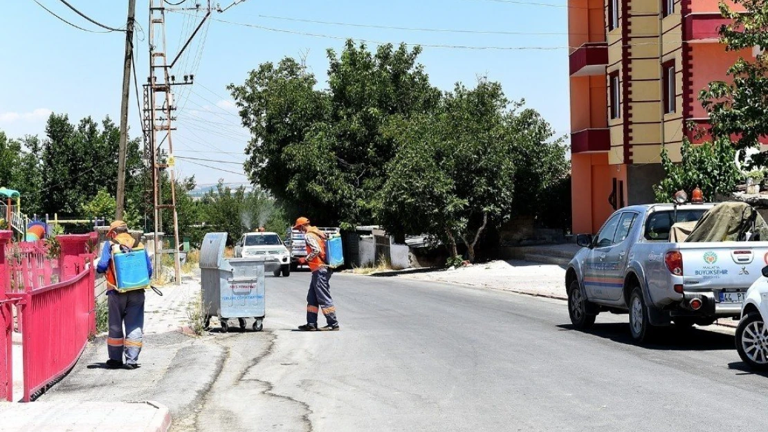 Büyükşehir'den haşereyle etkin mücadele