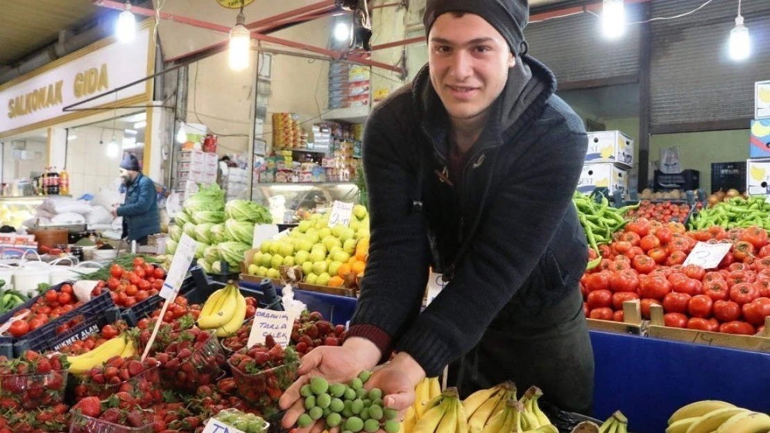 Yerli kayısı, çağala olarak tezgahlarda...