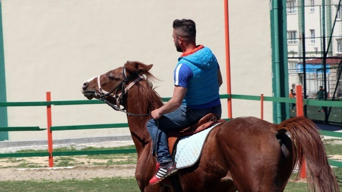 Turgut Özal Tabiat Parkı'nda at keyfi
