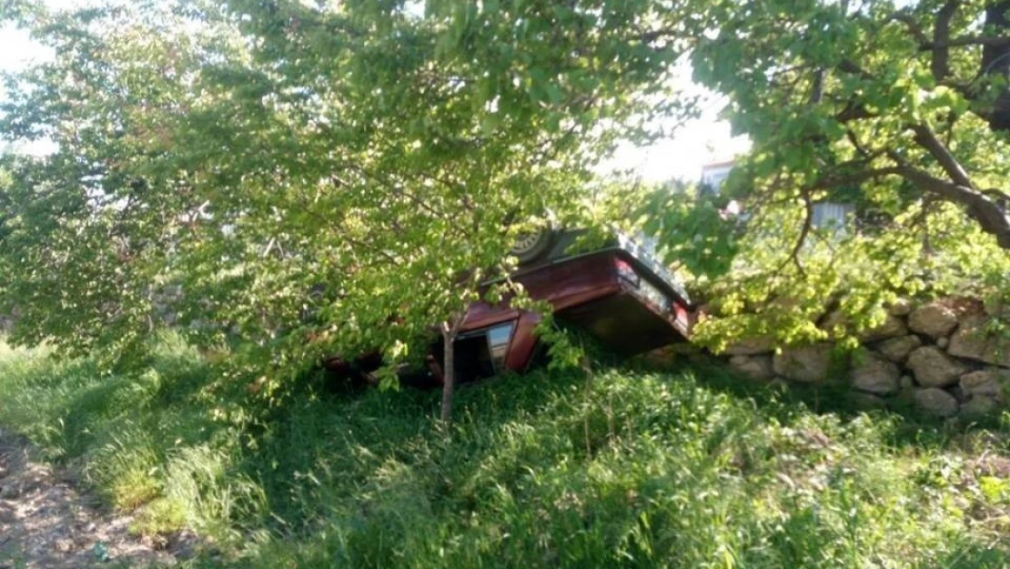 Malatya'da otomobil kayısı bahçesine uçtu: 1 yaralı
