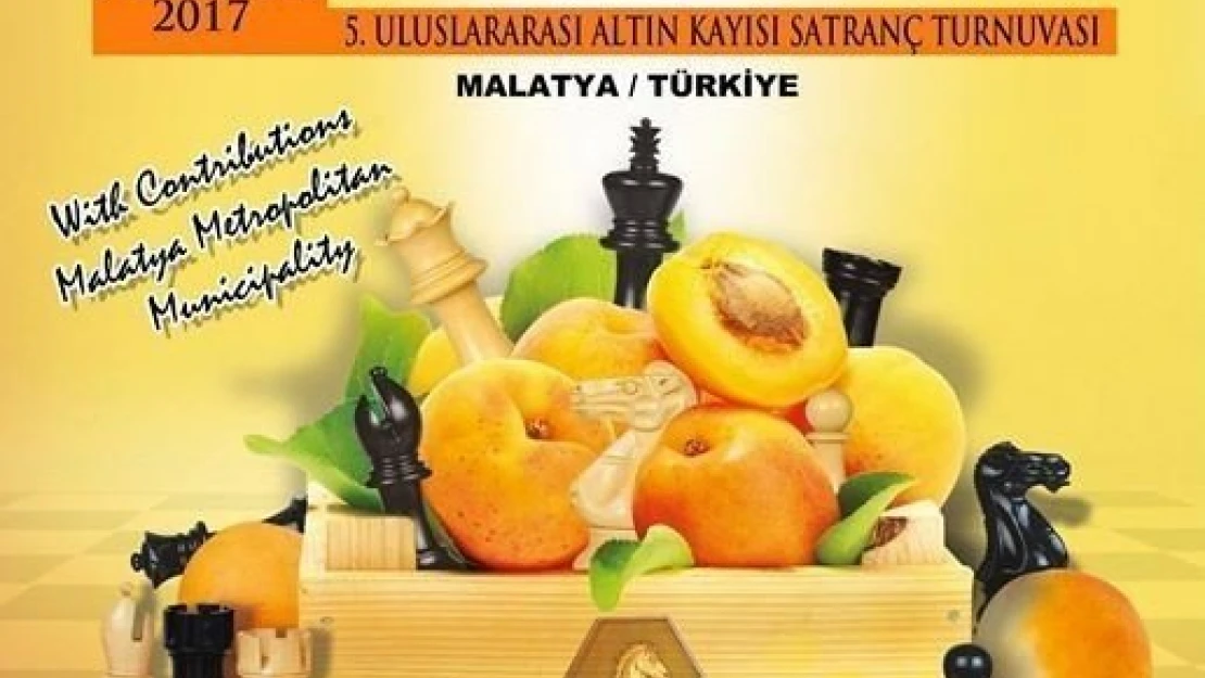 5. Uluslararası Altın Kayısı Satranç Turnuvası 20 Ağustos'ta başlayacak
