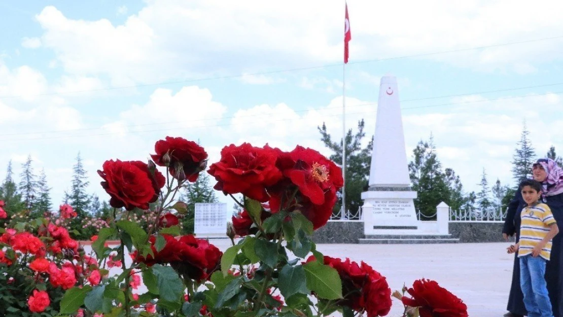 Şehir Mezarlığı peyzajıyla örnek oluyor
