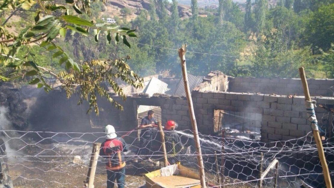 Ahır yangınında çok sayıda hayvan telef oldu
