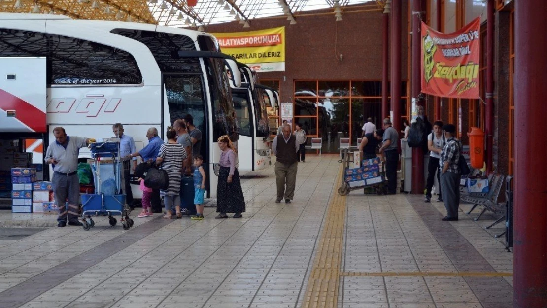 MAŞTİ'de kayısı yoğunluğu