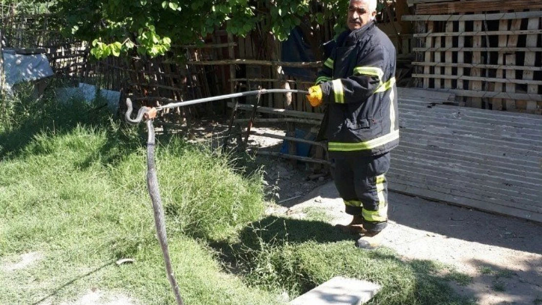 Depoya giren yılanı itfaiye yakaladı
