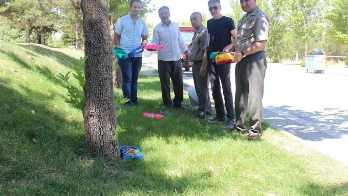 Sokak hayvanları için park ve bahçelere su ve yem bırakıldı
