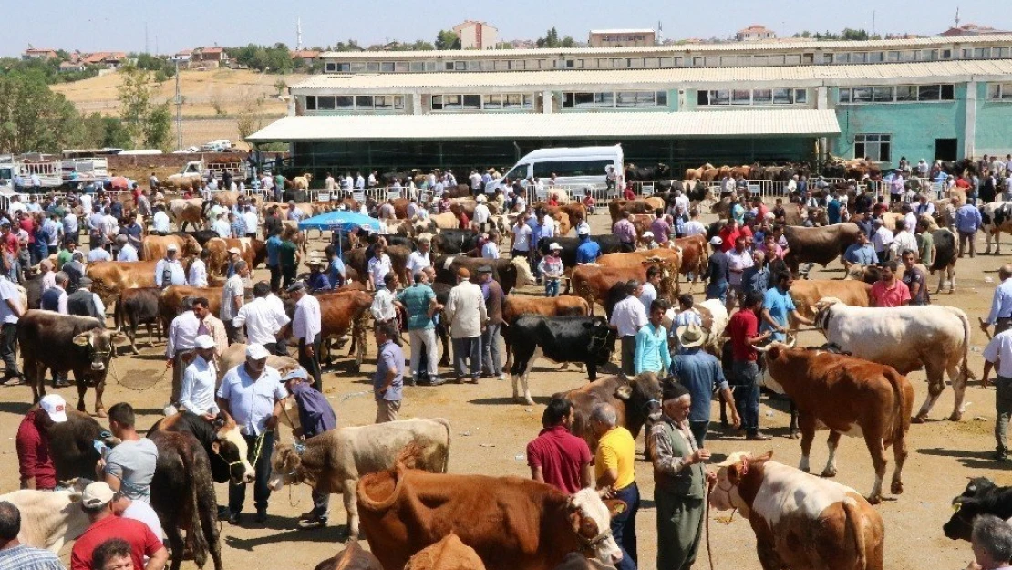 Malatya Canlı Hayvan Pazarında Arife yoğunluğu
