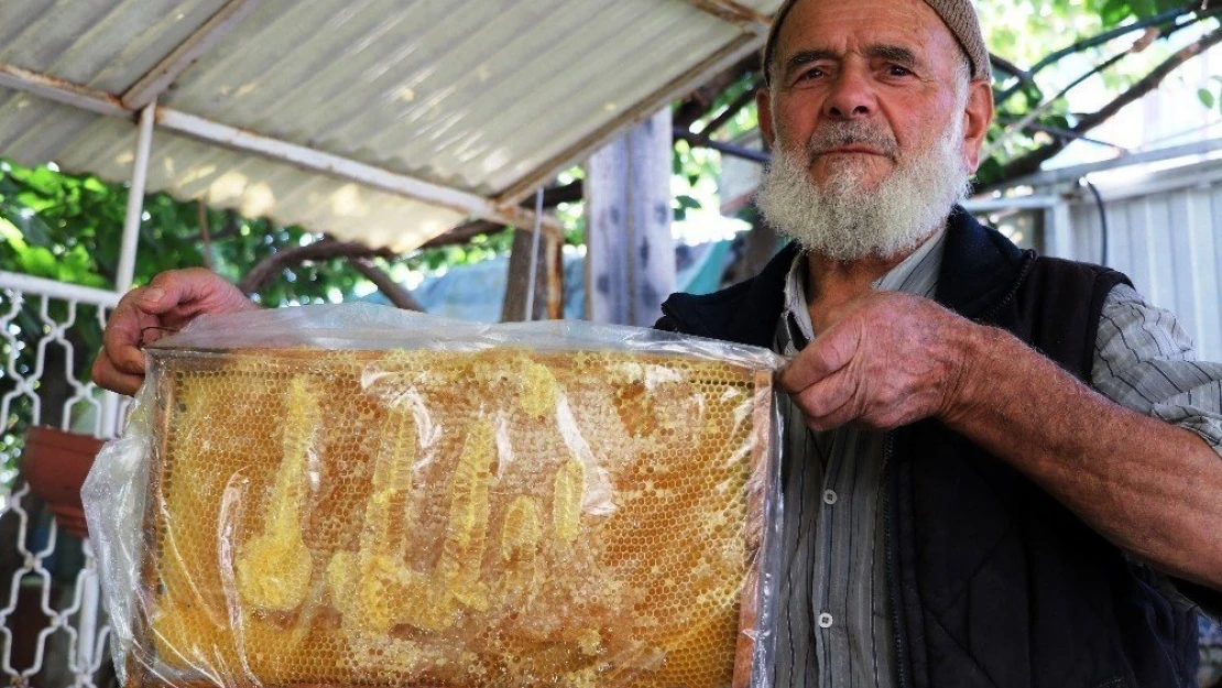 Bal peteğinde şaşırtan figür
