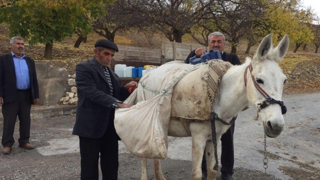 Evlerine hayvanlarla su taşıyorlar
