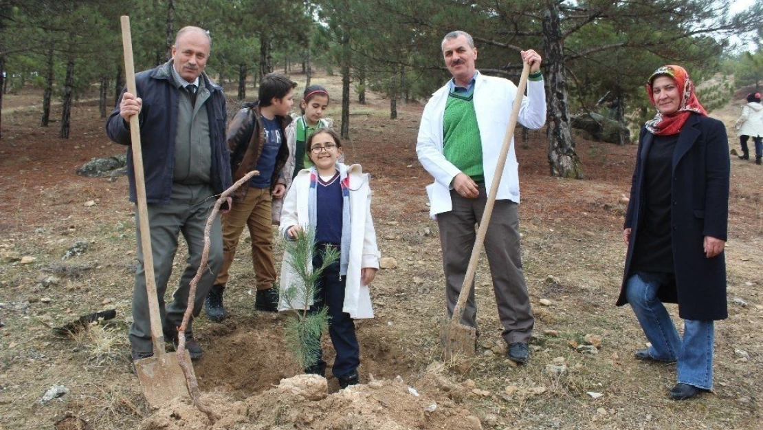 Öğrenciler ağaç dikme eğitimi verildi
