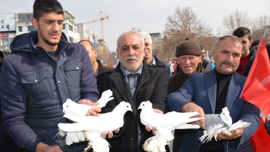 Bin güvercin Mehmetçik için havalandı
