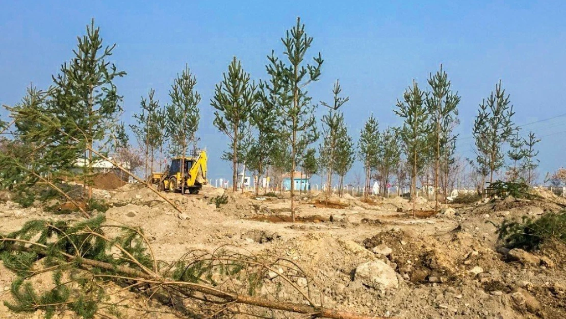 Atabey iskelesi yeniden düzenleniyor
