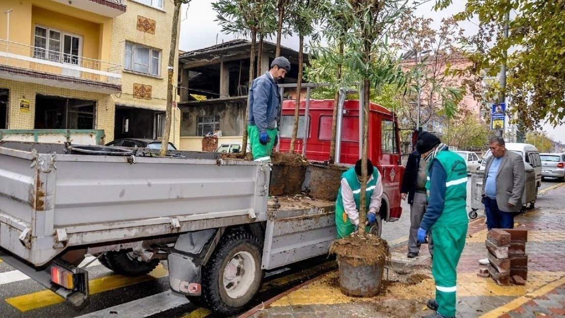 Malatya yeşile boyanıyor
