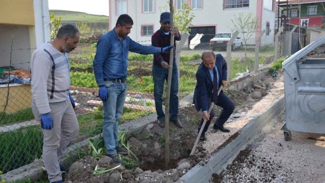 Arguvan'da değişim ve yenileme çalışmaları
