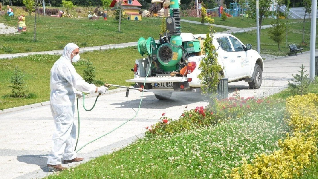 Et yiyen örümcek Sarı Kız alarmı