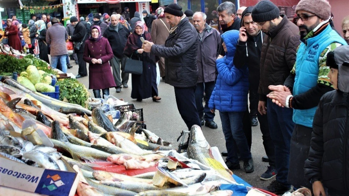 Keban'da, 'Turna' ve 'Sazan' bereketi