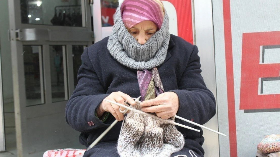 19 dairesi, 9 otomobili vardı şimdi bir odaya muhtaç