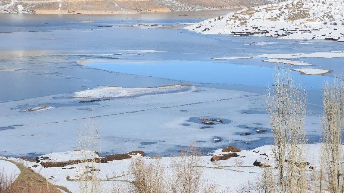 Yüzen adalar soğuktan dondu