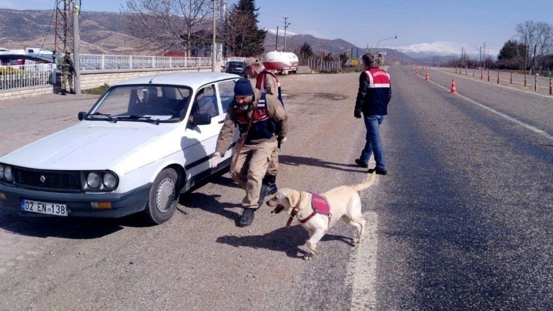 Adıyaman'da 27 kişi yakalandı