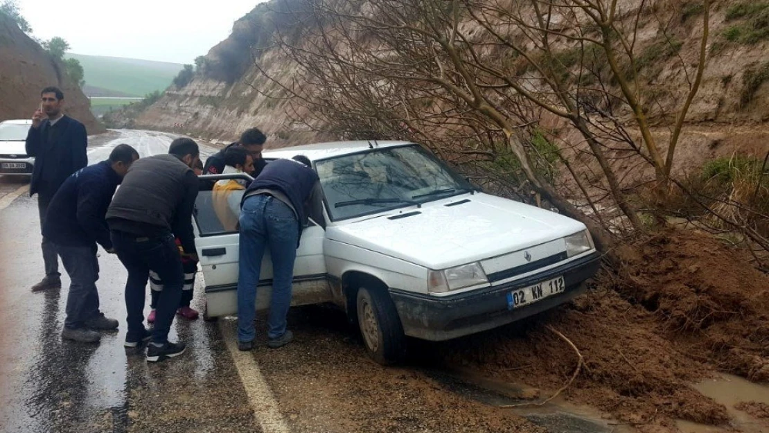 Yola düşen ağaç kazaya neden oldu