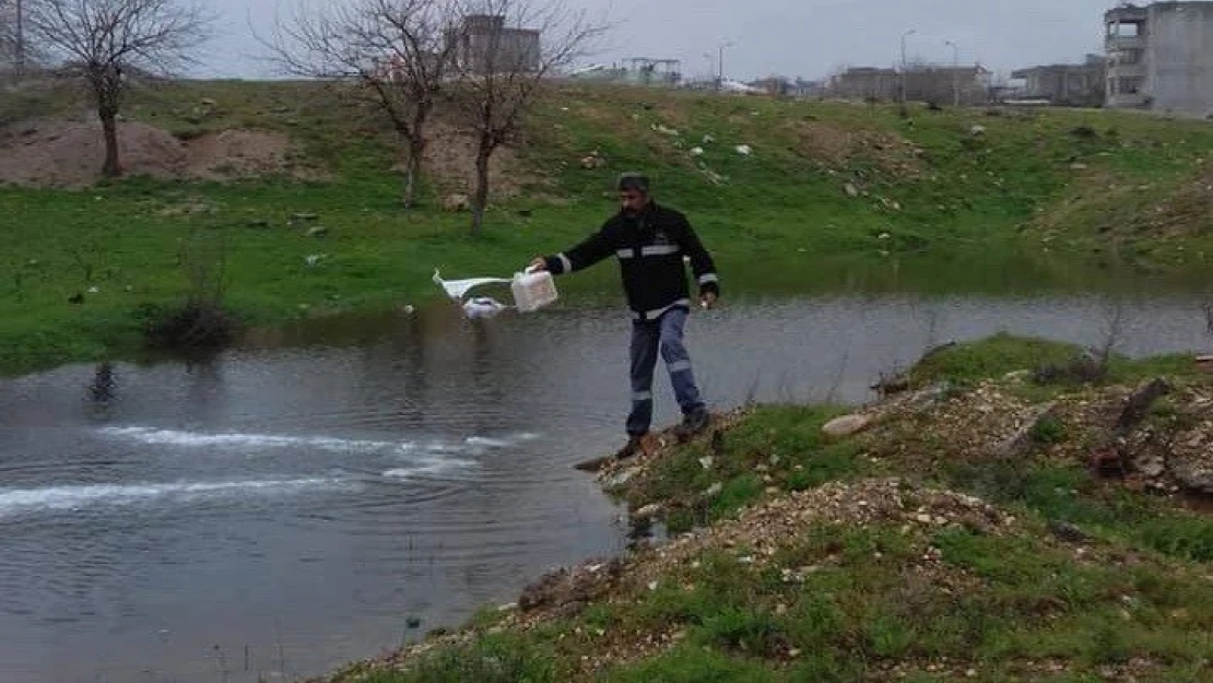 Adıyaman'da larva mücadelesi başladı