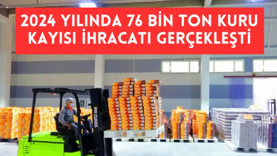 2024 yılında 76 bin ton kuru kayısı ihracatı gerçekleşti