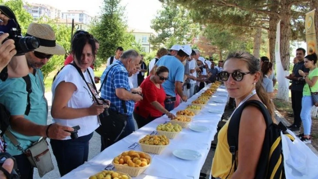 22 ülke akademisyeninden Kayısı Araştırma Enstitüsüne ziyaret