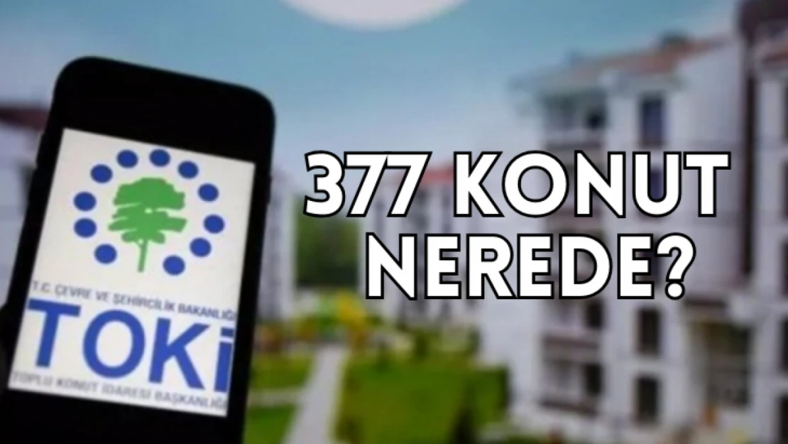 377 konut nerede?