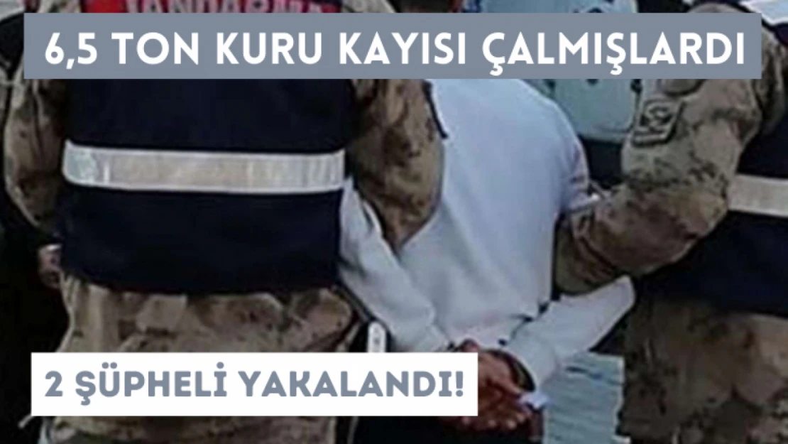 6,5 ton kuru kayısı çalmışlardı