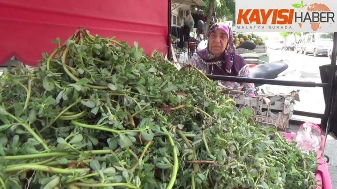 79 yaşındaki Fatma Teyze gençlere taş çıkartıyor