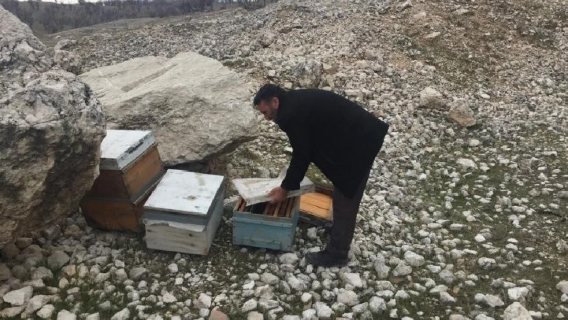 Adıyaman'da 16 adet arılı kovan çalındı