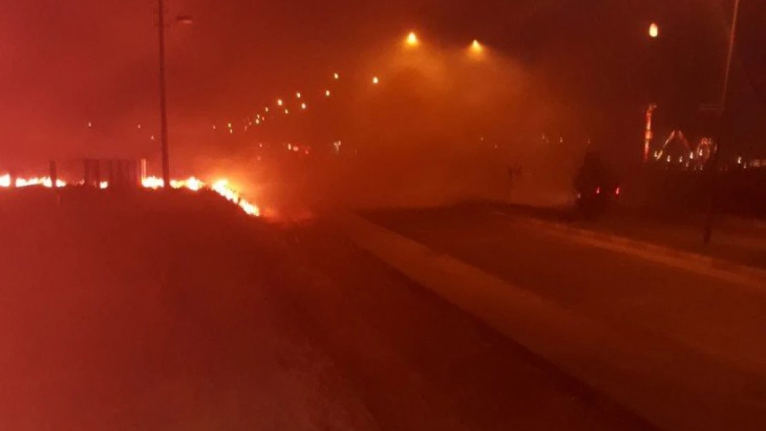 Adıyaman'da anız yangını: 4 kişi dumandan zehirlendi