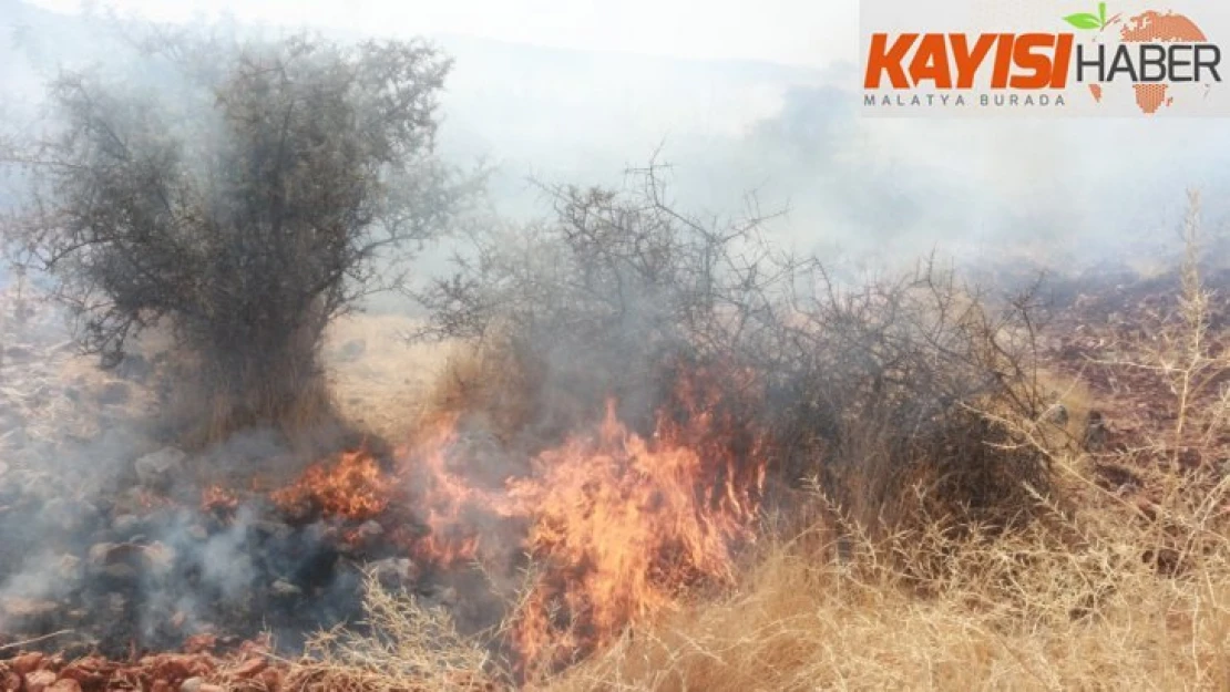 Adıyaman'da, orman yangını korkuttu