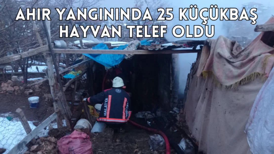 Ahır yangınında 25 küçükbaş hayvan telef oldu