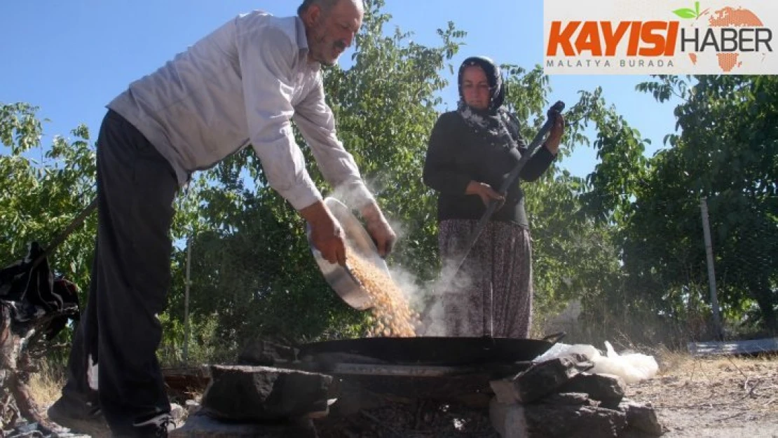 Ailelerin geçim kaynağı Coğrafi işaretli Ağın leblebisinin lezzet yolculuğu