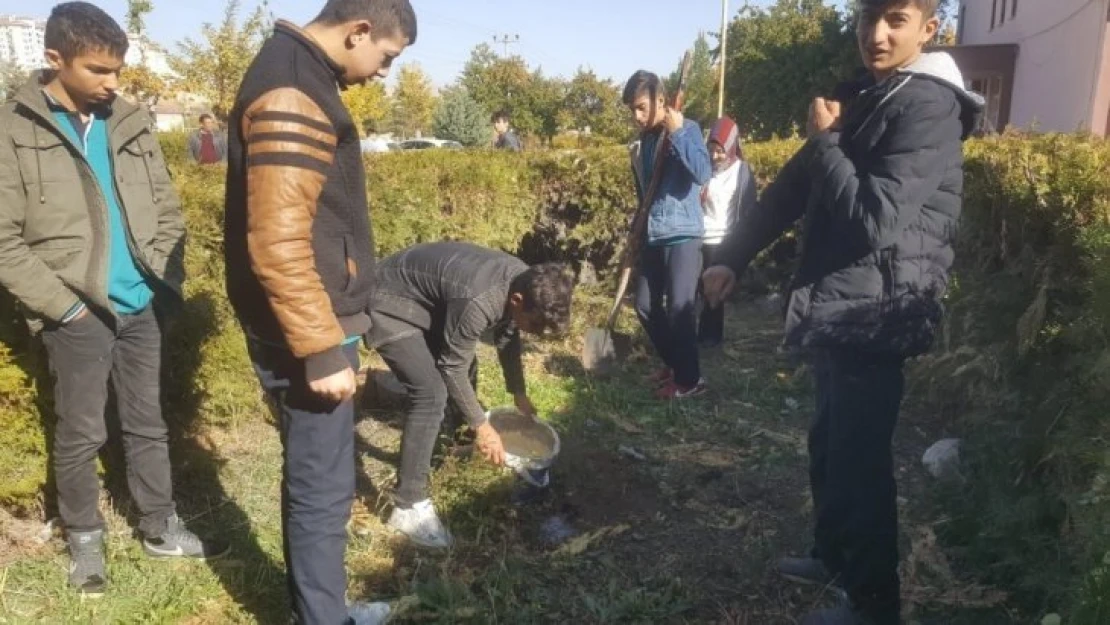 Akçadağ'da öğrenciler fidan dikti