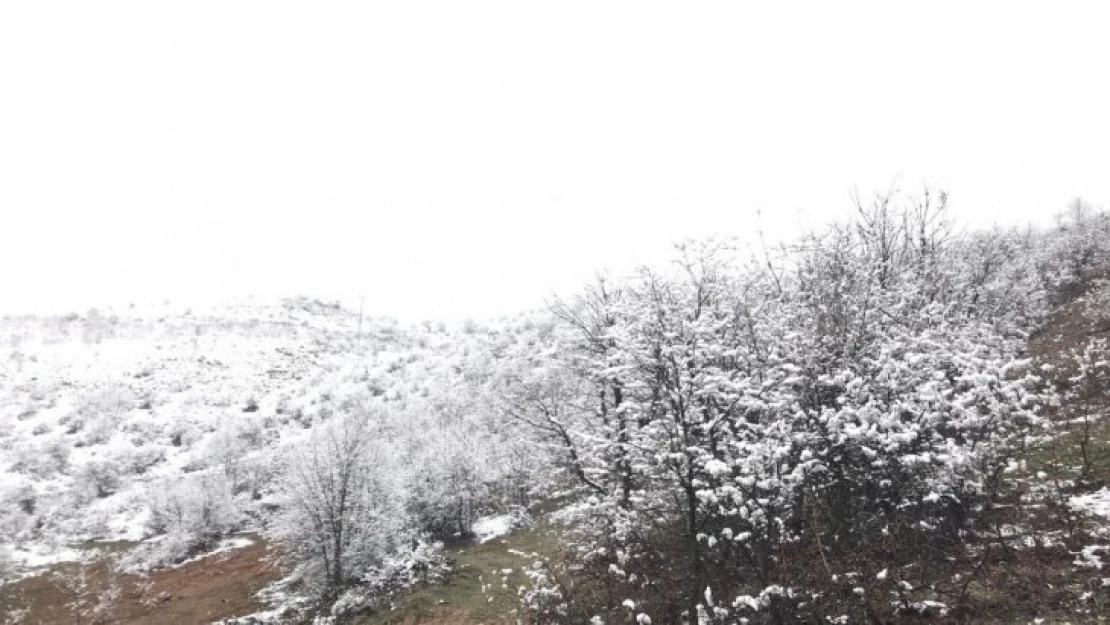 Akçadağ'da kar yağışı etkili oluyor