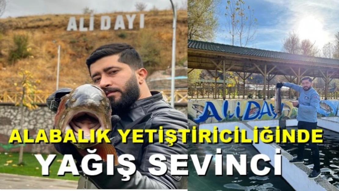 Alabalık yetiştiriciliğinde yağış üretimi arttıracak