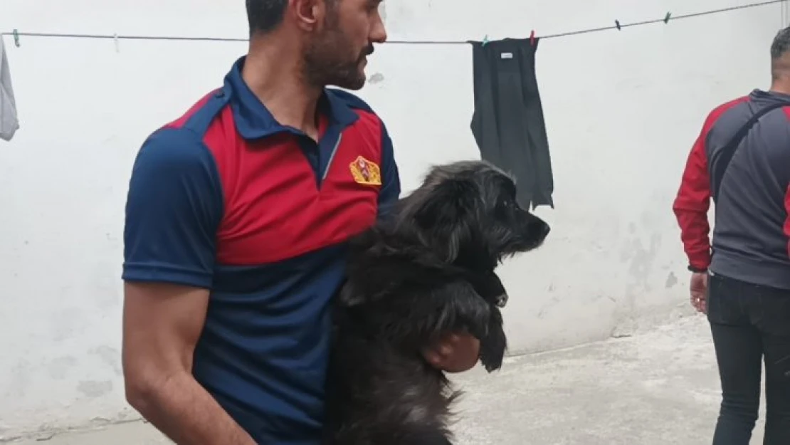 Alevler arasında kalan köpek son anda kurtarıldı