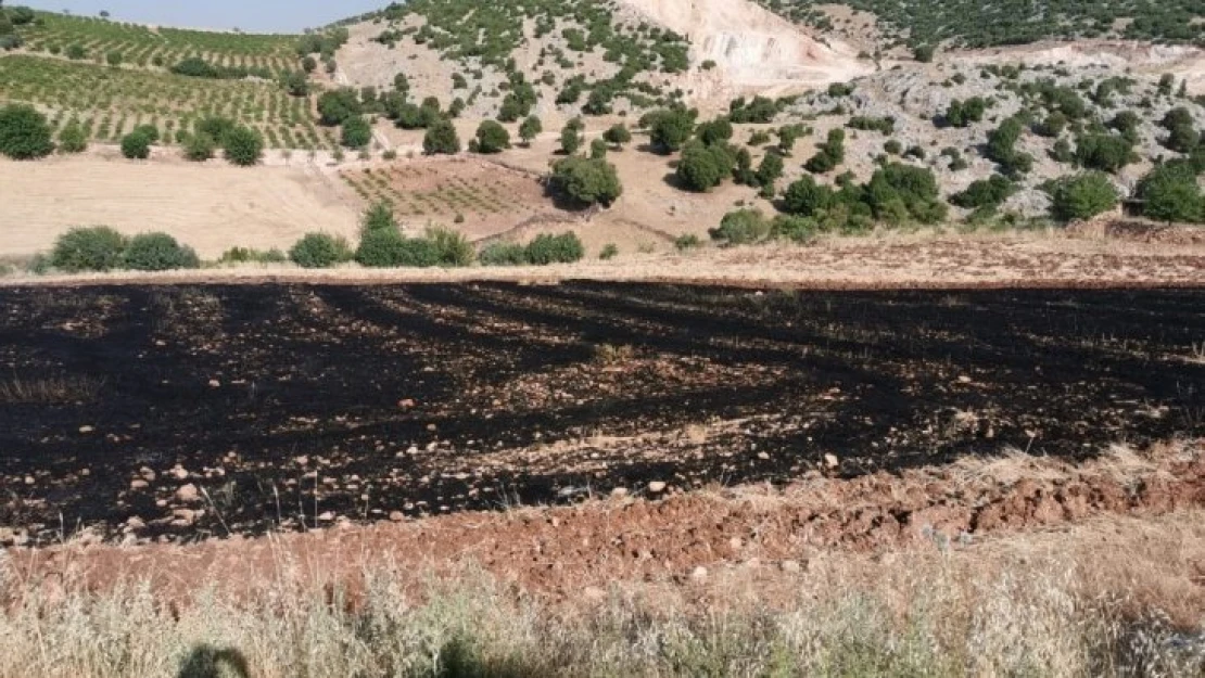 Anız yangınına jandarma müdahalesi