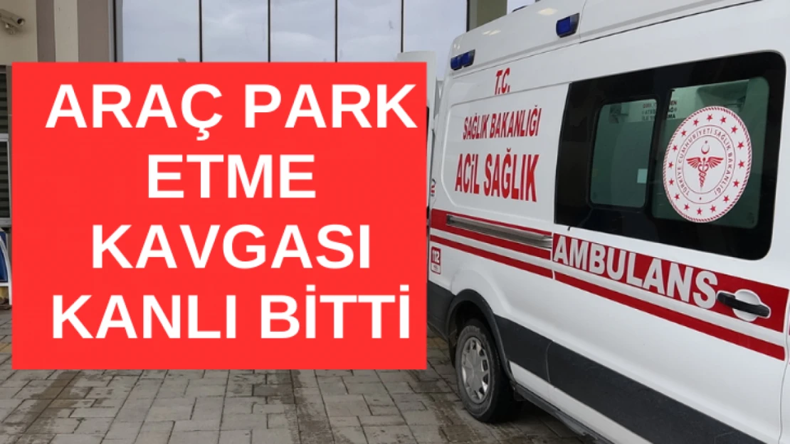 Araç park etme kavgası kanlı bitti