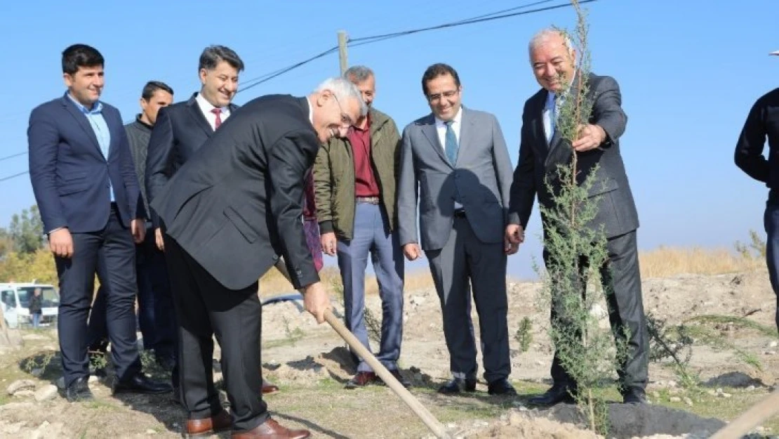 Battalgazi Belediyesi bin fidanı toprakla buluşturdu