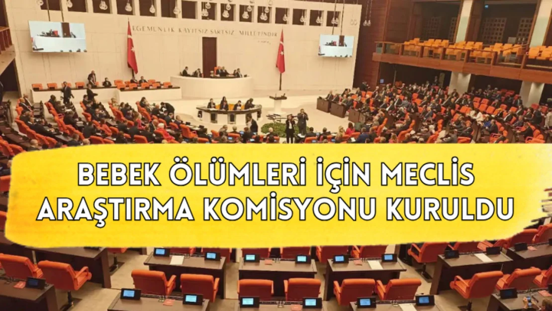 Bebek ölümleri için Meclis Araştırma Komisyonu kuruldu