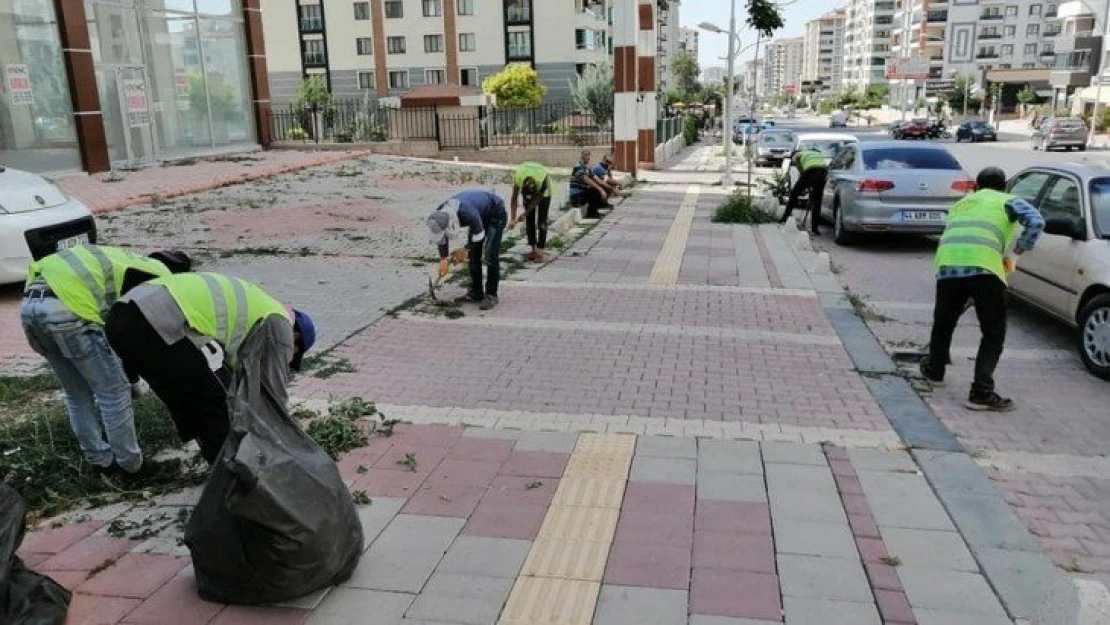 Büyükşehir'den yabani ot temizliği