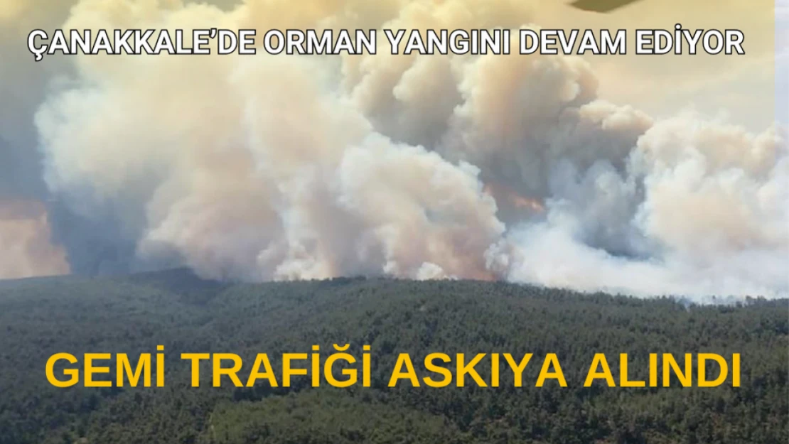 Çanakkale'de orman yangını devam ediyor: Gemi trafiği askıya alındı