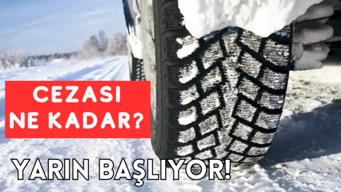 Cezası ne kadar?