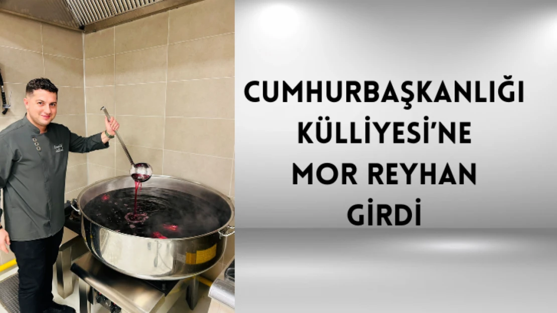 Cumhurbaşkanlığı Külliyesi'ne Mor Reyhan girdi