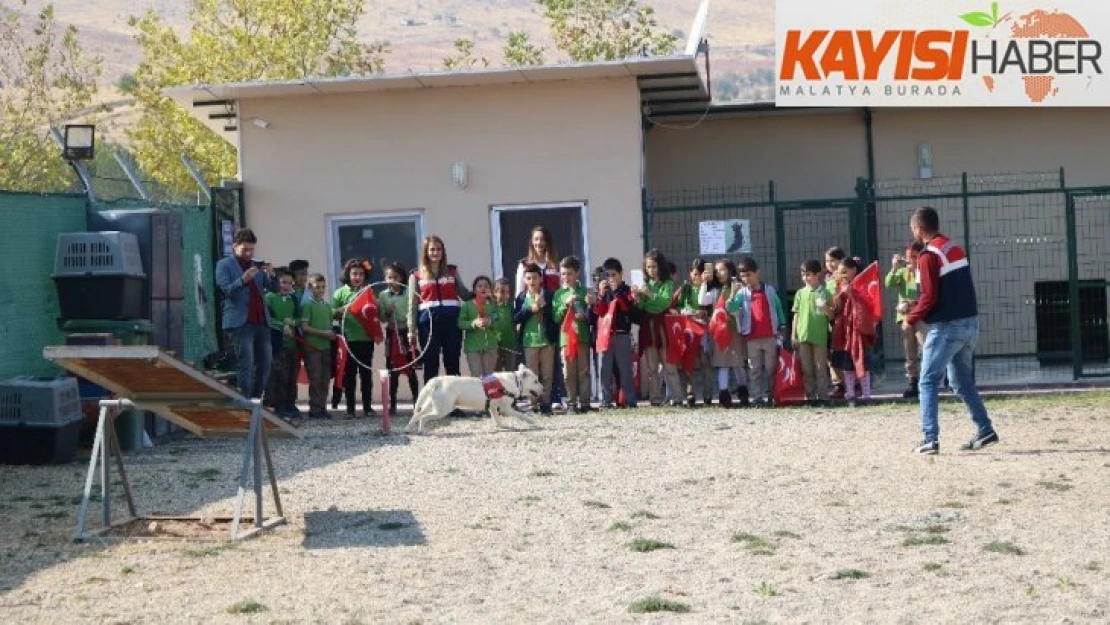 Cumhuriyet Bayramı nedeniyle öğrencilere sosyal faaliyet